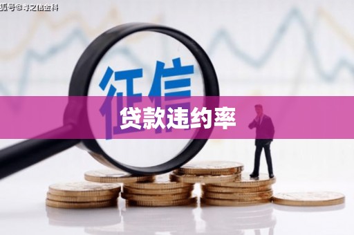 五家渠贷款违约率