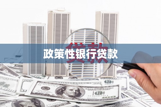 五家渠政策性银行贷款