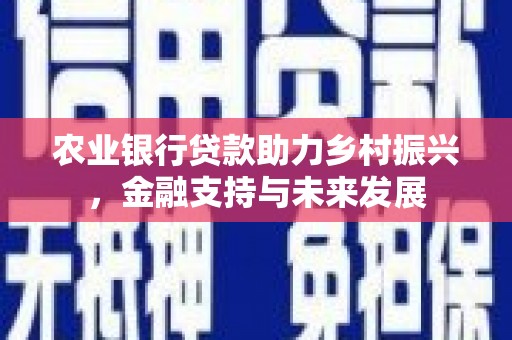 五家渠农业银行贷款助力乡村振兴，金融支持与未来发展