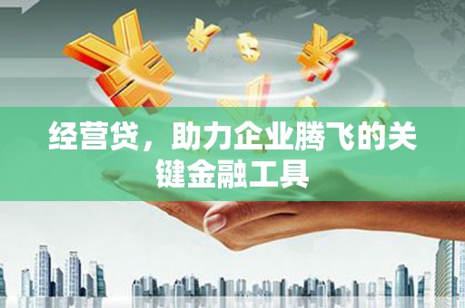 五家渠经营贷，助力企业腾飞的关键金融工具