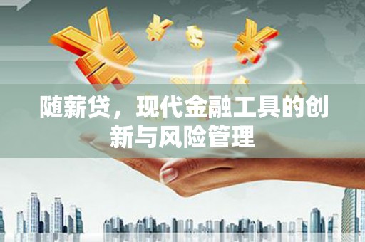 五家渠随薪贷，现代金融工具的创新与风险管理