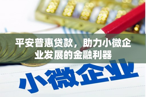 五家渠平安普惠贷款，助力小微企业发展的金融利器