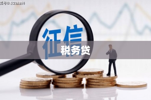 五家渠税务贷