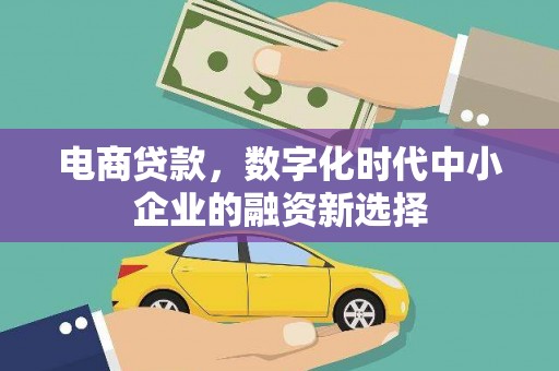 五家渠电商贷款，数字化时代中小企业的融资新选择