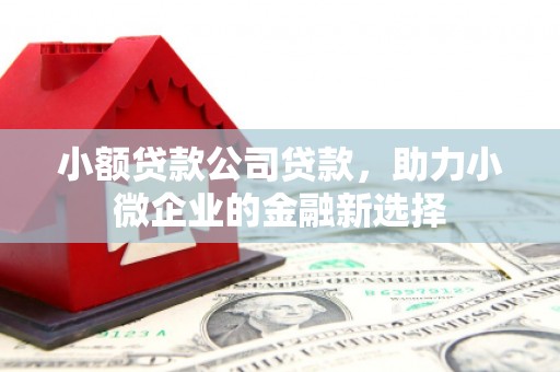 五家渠小额贷款公司贷款，助力小微企业的金融新选择