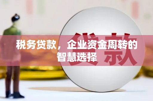 五家渠税务贷款，企业资金周转的智慧选择