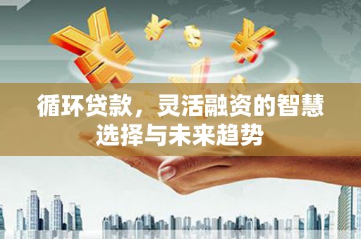 五家渠循环贷款，灵活融资的智慧选择与未来趋势
