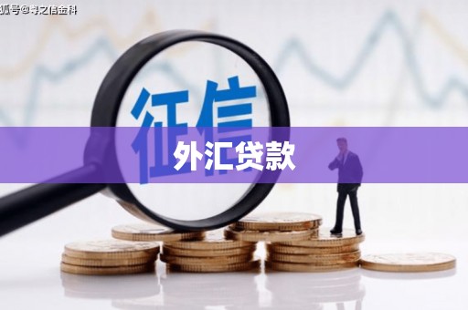 五家渠外汇贷款