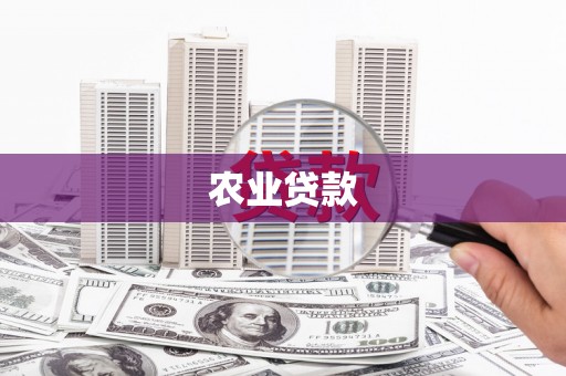 五家渠农业贷款