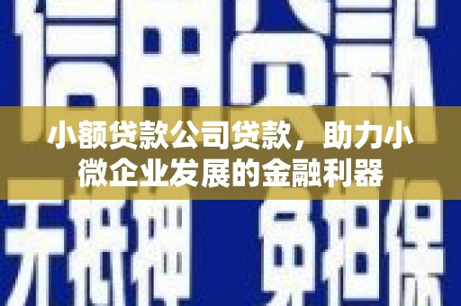 五家渠小额贷款公司贷款，助力小微企业发展的金融利器