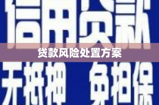 五家渠贷款风险处置方案