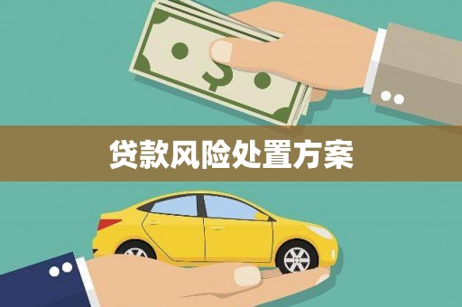 五家渠贷款风险处置方案