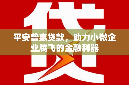 五家渠平安普惠贷款，助力小微企业腾飞的金融利器