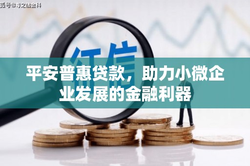 五家渠平安普惠贷款，助力小微企业发展的金融利器