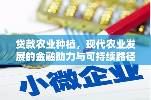五家渠贷款农业种植，现代农业发展的金融助力与可持续路径