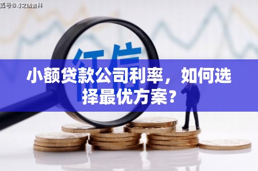 五家渠小额贷款公司利率，如何选择最优方案？