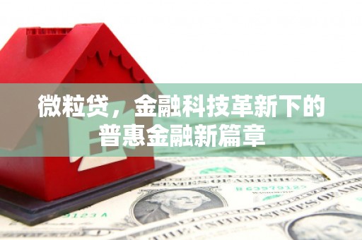 五家渠微粒贷，金融科技革新下的普惠金融新篇章