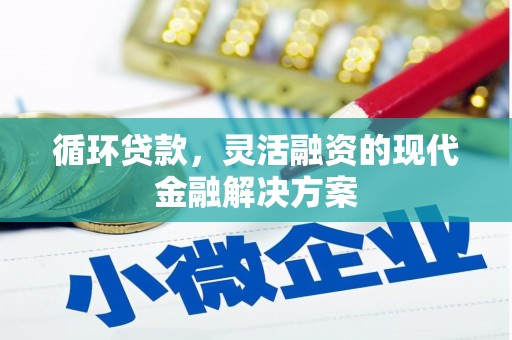 五家渠循环贷款，灵活融资的现代金融解决方案