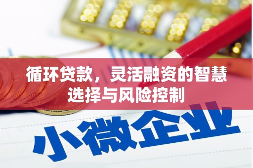 五家渠循环贷款，灵活融资的智慧选择与风险控制