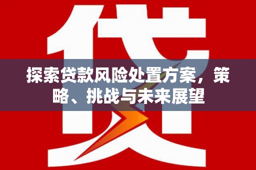五家渠探索贷款风险处置方案，策略、挑战与未来展望