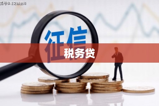 五家渠税务贷