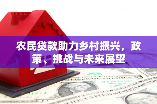 五家渠农民贷款助力乡村振兴，政策、挑战与未来展望