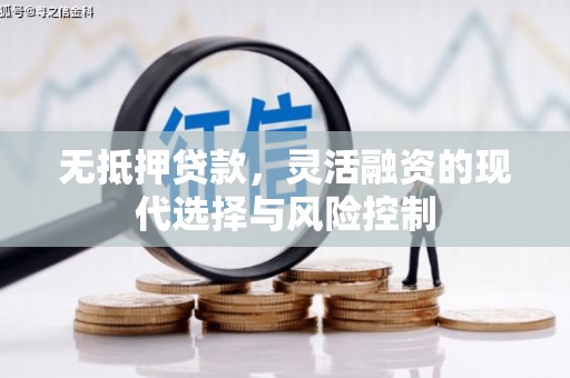 五家渠无抵押贷款，灵活融资的现代选择与风险控制