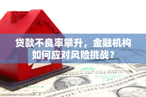 五家渠贷款不良率攀升，金融机构如何应对风险挑战？