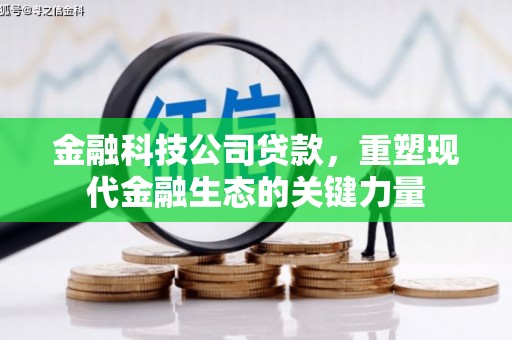 五家渠金融科技公司贷款，重塑现代金融生态的关键力量