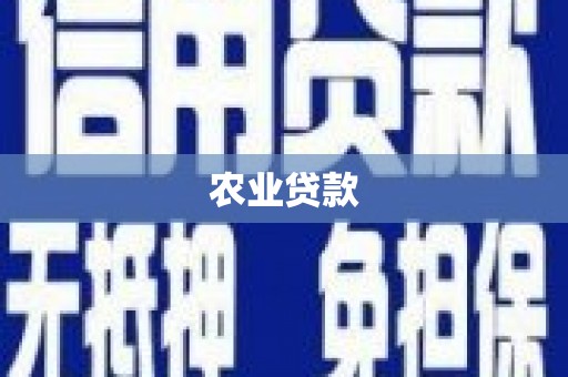五家渠农业贷款