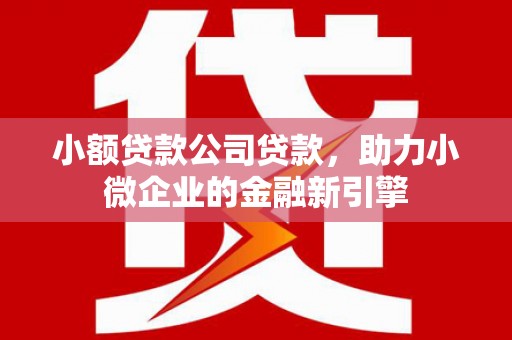 五家渠小额贷款公司贷款，助力小微企业的金融新引擎