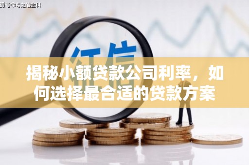五家渠揭秘小额贷款公司利率，如何选择最合适的贷款方案