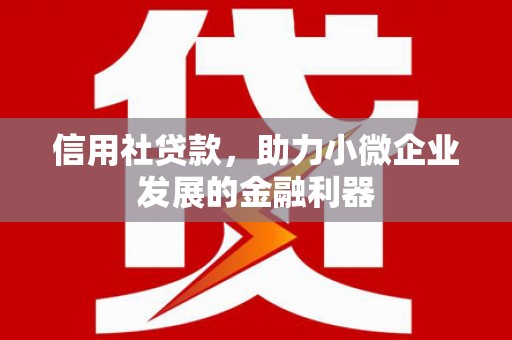五家渠信用社贷款，助力小微企业发展的金融利器