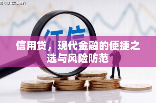 五家渠信用贷，现代金融的便捷之选与风险防范
