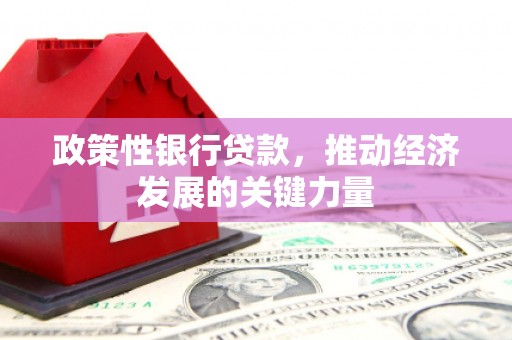 五家渠政策性银行贷款，推动经济发展的关键力量