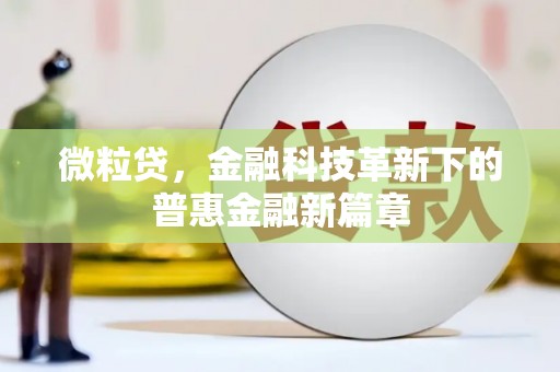 五家渠微粒贷，金融科技革新下的普惠金融新篇章