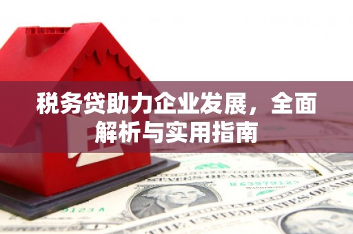 五家渠税务贷助力企业发展，全面解析与实用指南