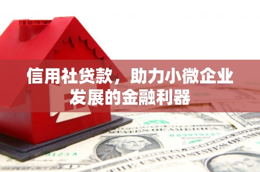 五家渠信用社贷款，助力小微企业发展的金融利器