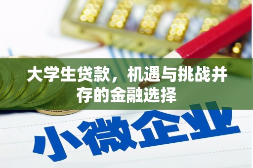 五家渠大学生贷款，机遇与挑战并存的金融选择