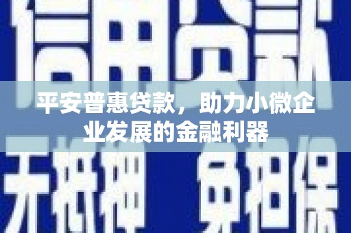 五家渠平安普惠贷款，助力小微企业发展的金融利器