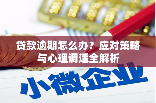 五家渠贷款逾期怎么办？应对策略与心理调适全解析