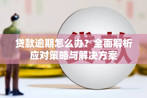 五家渠贷款逾期怎么办？全面解析应对策略与解决方案