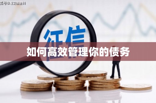 五家渠如何高效管理你的债务