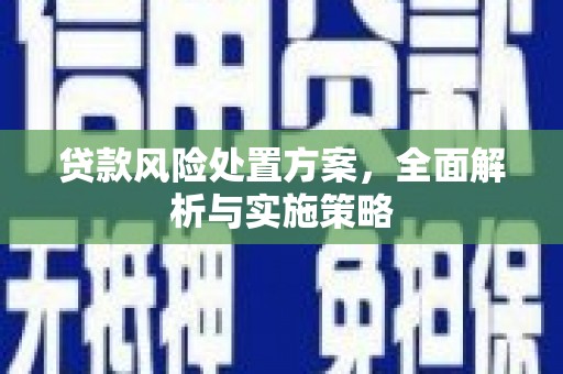 五家渠贷款风险处置方案，全面解析与实施策略
